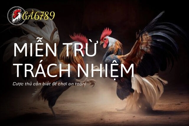 Những điều cược thủ cần biết để chơi an toàn!