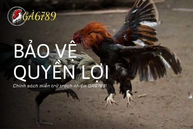 Tìm hiểu kỹ chính sách miễn trừ trách nhiệm GA6789