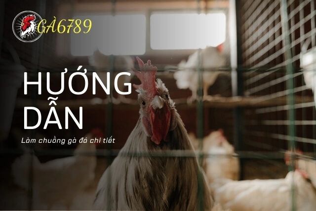 Bảo dưỡng và vệ sinh chuồng gà