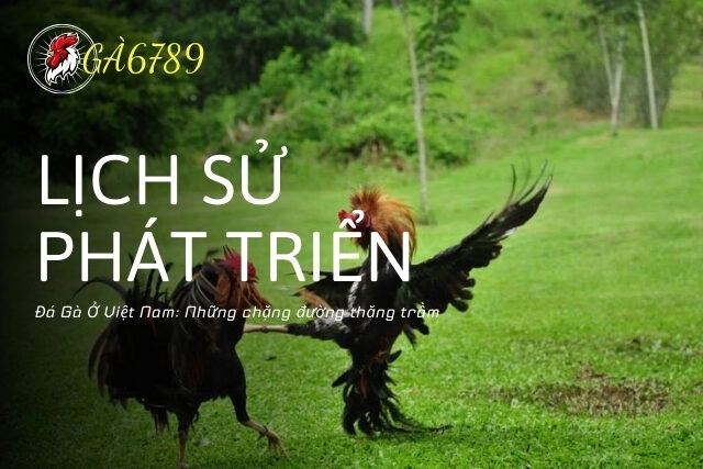 Lịch sử và phát triển của đá gà ở Việt Nam