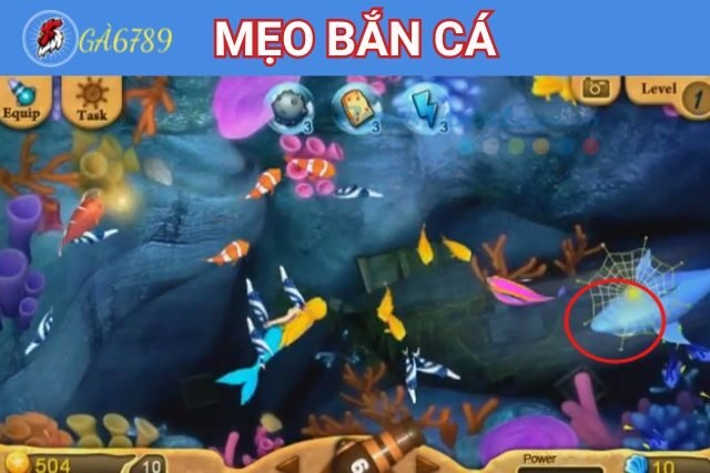 Các mẹo bắn cá