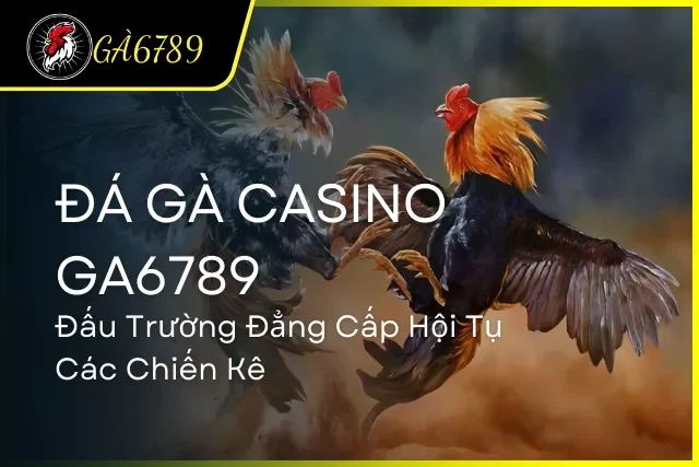 Đá Gà Casino